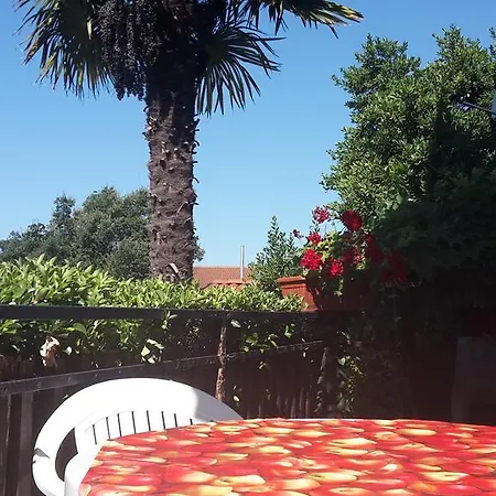 Zlata Vrcevan Apartman *