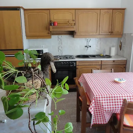 Apartment Zlata Vrcevan