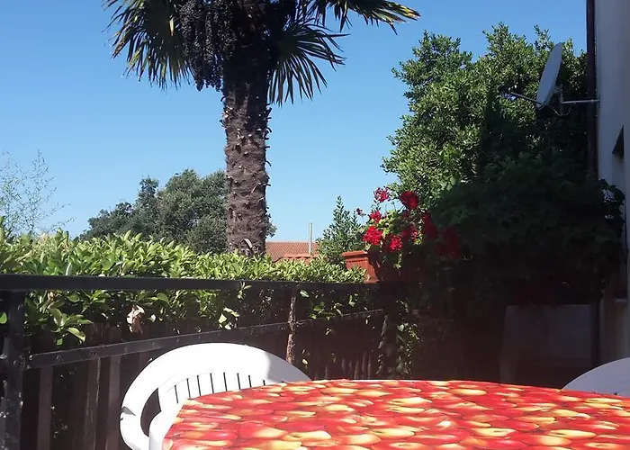 Zlata Vrcevan Apartman *